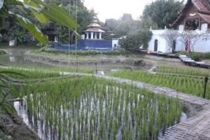 The Dhara Dhevi Hotel is a working farm on 60 acres