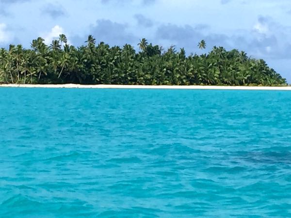 Blog - milky waters