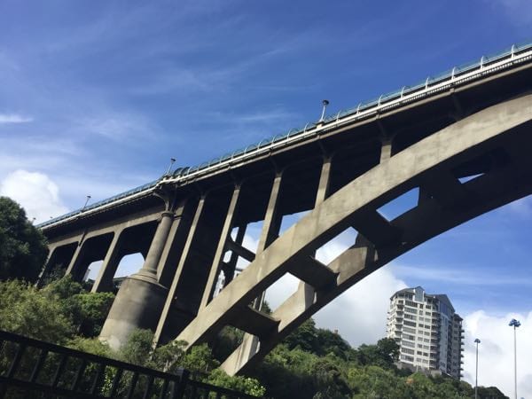 Cycle- Grafton Bridge