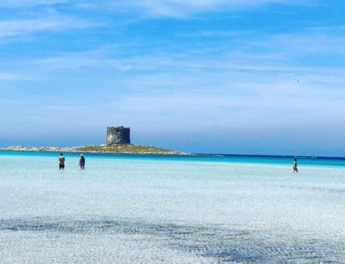 Everything you need to know about Sardinia, PLUS an itinerary