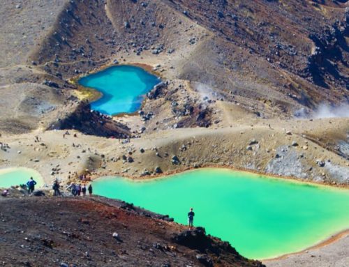 A guide to great New Zealand walks