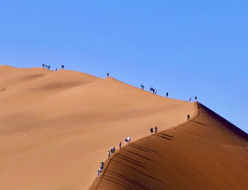 Beautiful Namibia and three first class lodges
