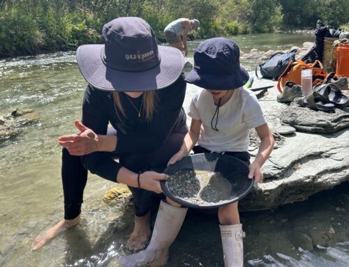Panning for gold