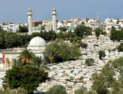 A taste of Tunisia, PLUS a 7-day itinerary.